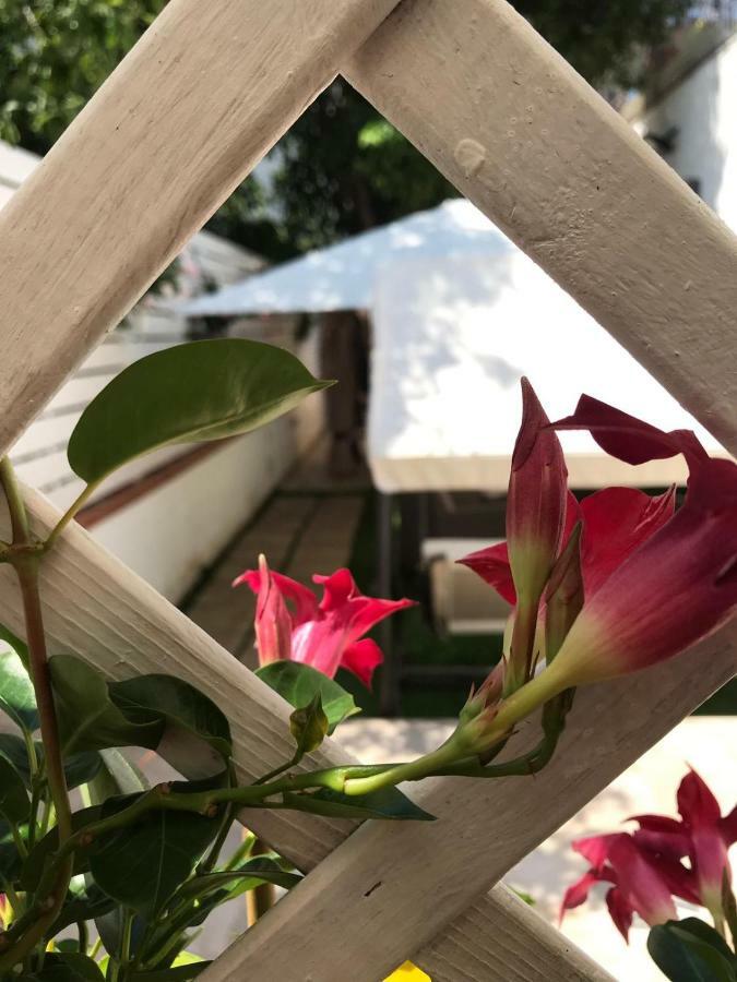 לינה וארוחת בוקר קסטלמרה די סטביה Virgilio'S Garden מראה חיצוני תמונה